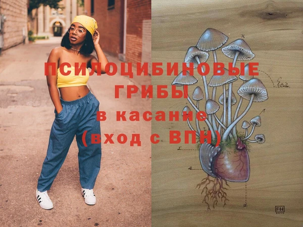 каннабис Новозыбков