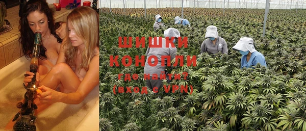 трава Новокубанск