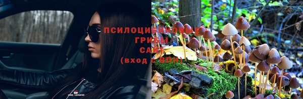 трава Новокубанск