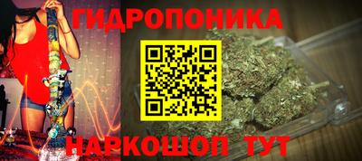 сатива Кинель